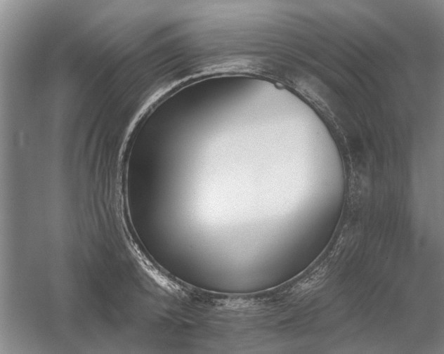 X0000058120800200509231051