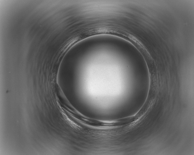X0000058120801200509231051
