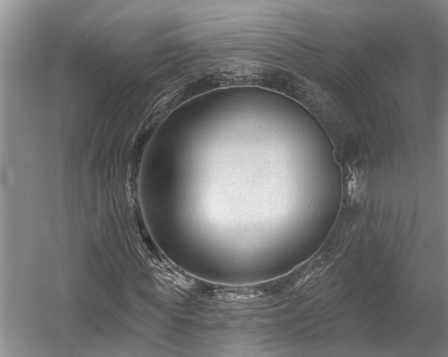X0000058120819200509231050