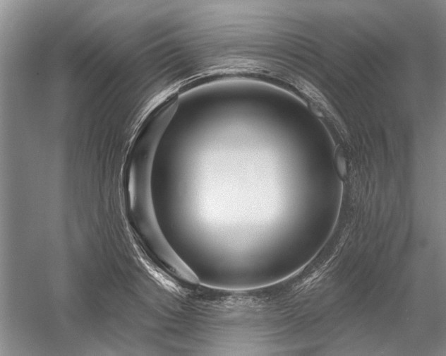 X0000058120842200509231050