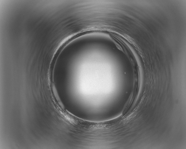 X0000058120846200509231050