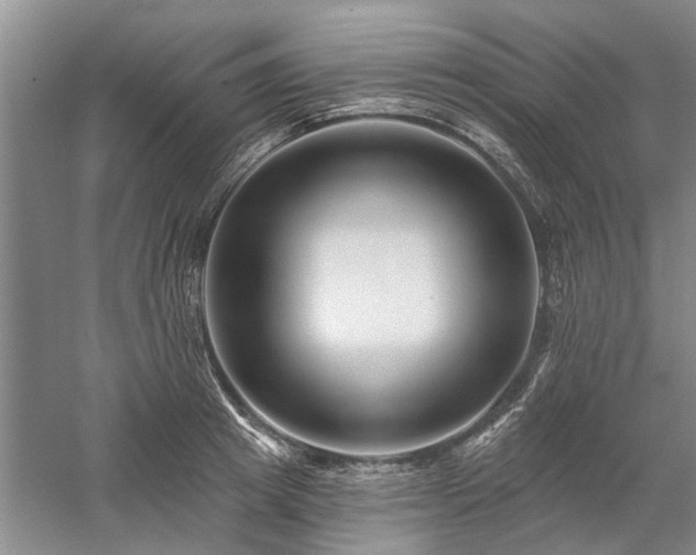 X0000058120849200509231050