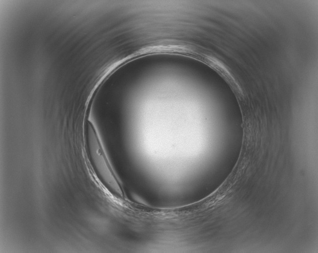 X0000058120852200509231050