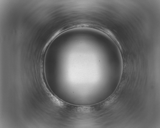 X0000058120859200509231050