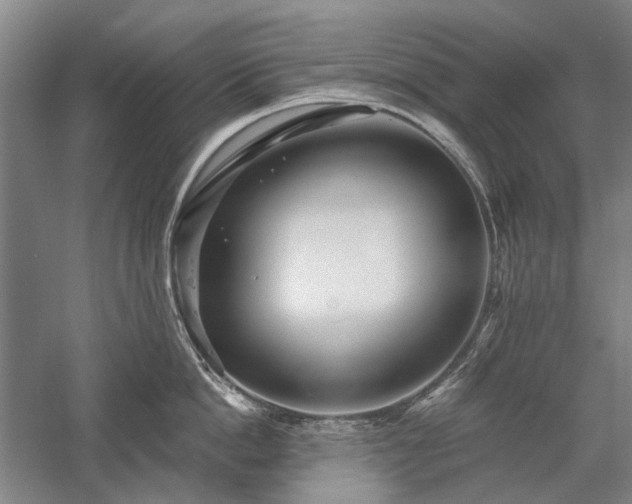 X0000058120862200509231050