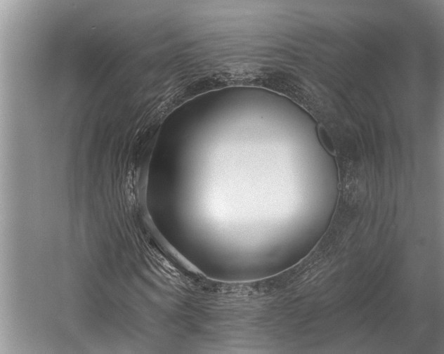 X0000058120866200509231050