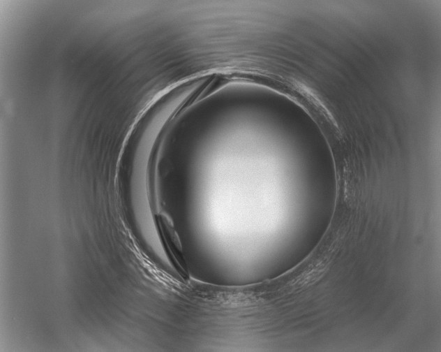 X0000058120876200509231049
