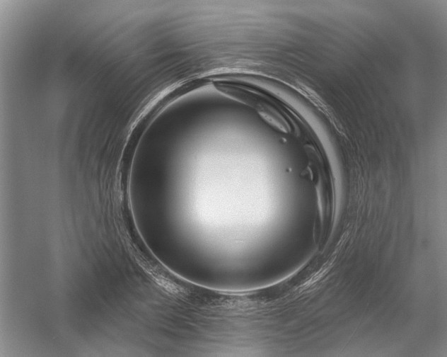 X0000058120885200509231049