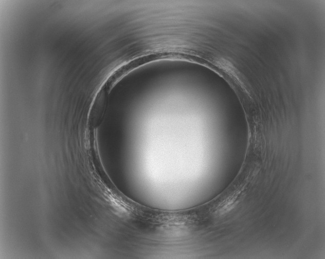X0000058120924200509231048