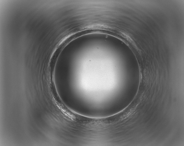 X0000058120931200509231048