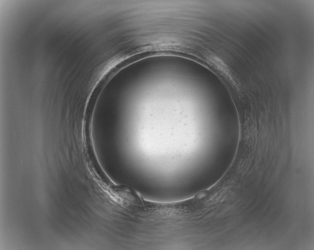 X0000058120932200509231048