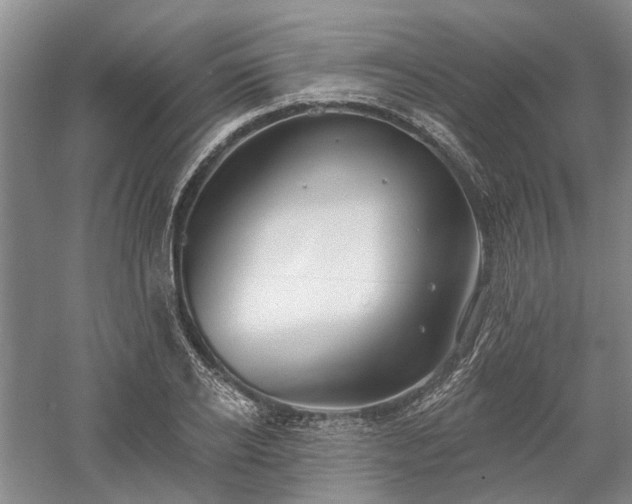 X0000058120934200509231048