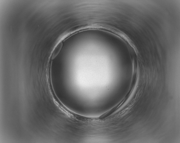 X0000058120958200509231049