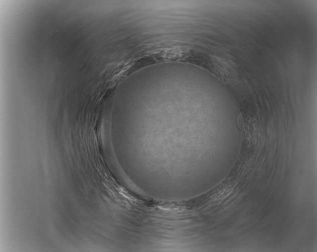 X0000058120962200509231048
