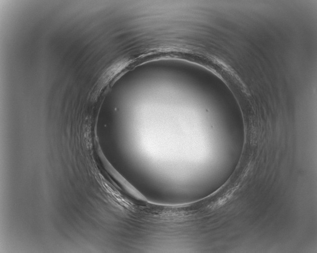 X0000058120977200509231048
