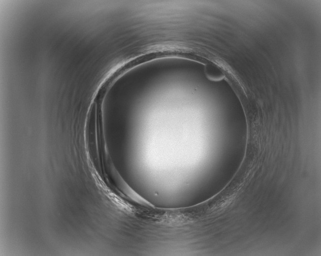 X0000058120983200509231048