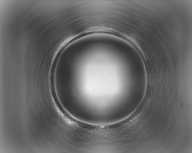 X0000058120995200509231047