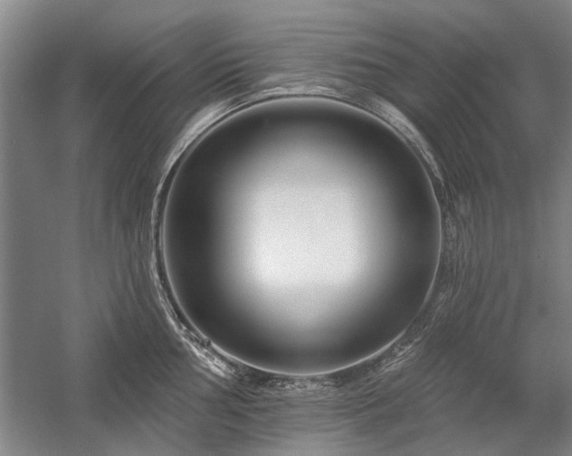 X0000058121002200509231047