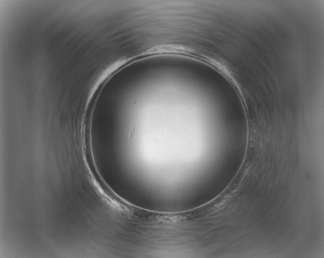 X0000058121003200509231047