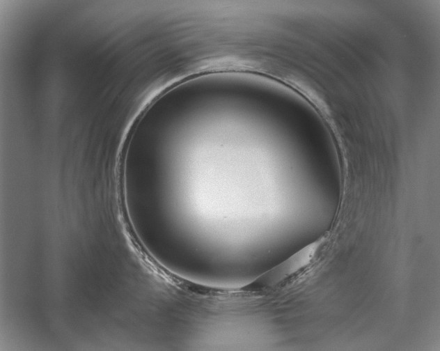 X0000058121008200509231047