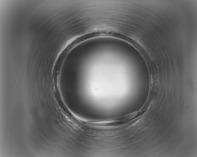 X0000058121022200509231047
