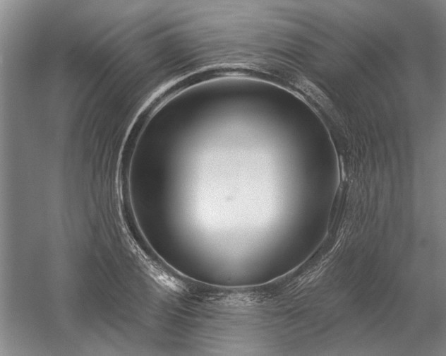 X0000058121028200509231047
