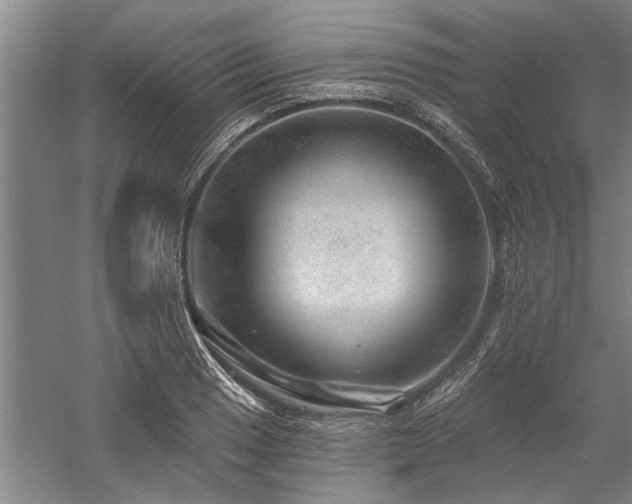 X0000058121033200509231047