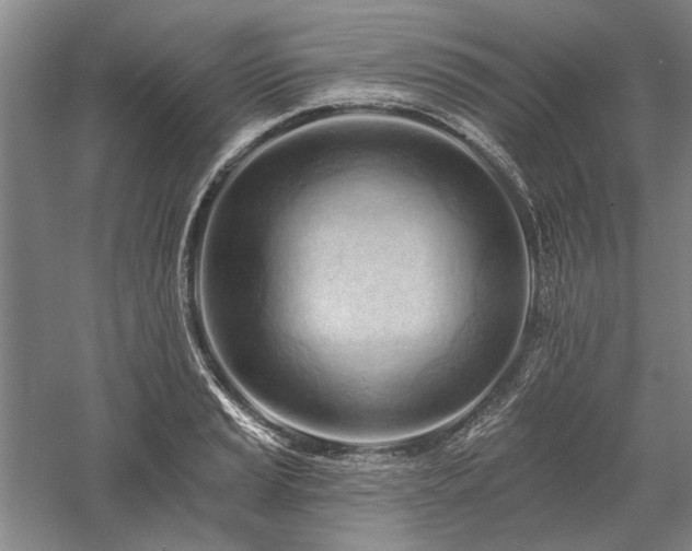 X0000058121037200509231047