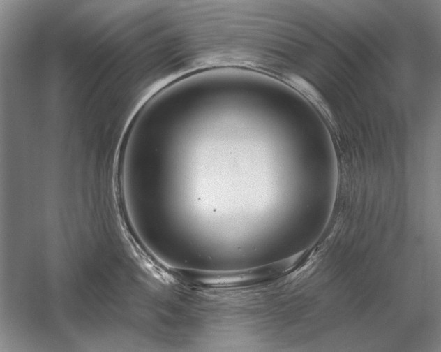 X0000058121052200509231047