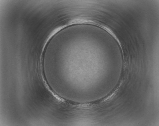 X0000058121053200509231047