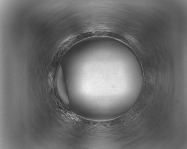 X0000058121063200509231046
