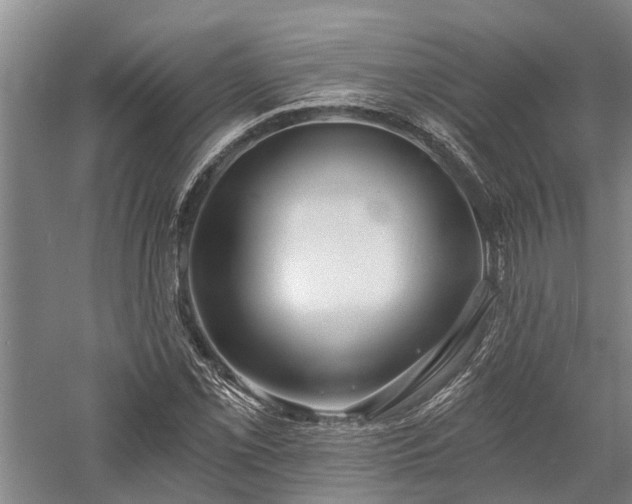X0000058121069200509231046