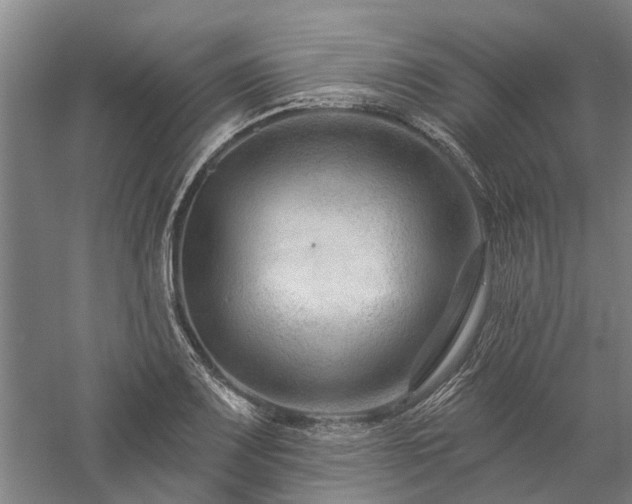 X0000058121083200509231046