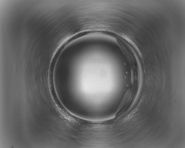 X0000058121085200509231046