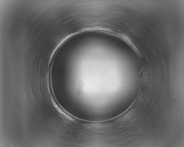 X0000058121100200509231046