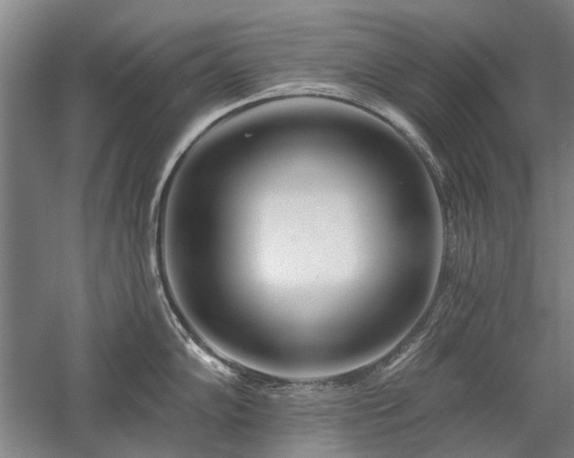 X0000058121102200509231046
