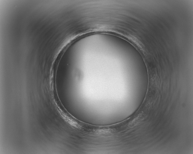 X0000058121126200509231045