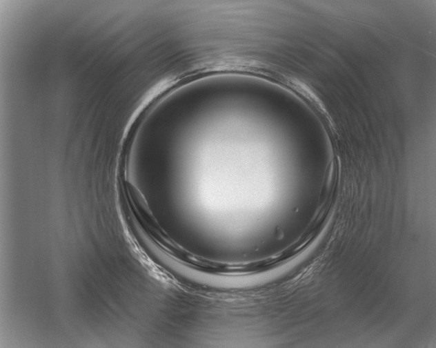 X0000058121138200509231045