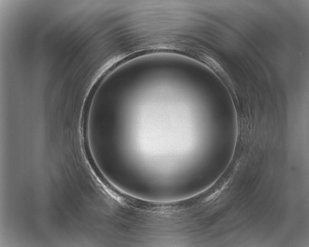 X0000058121141200509231045