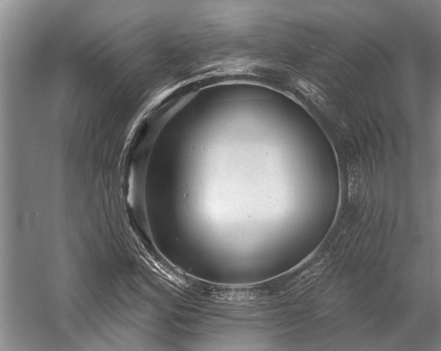 X0000058121164200509231044