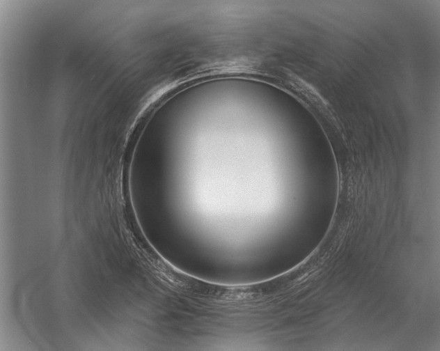 X0000058121174200509231044