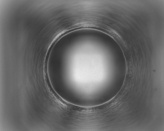 X0000058121182200509231044