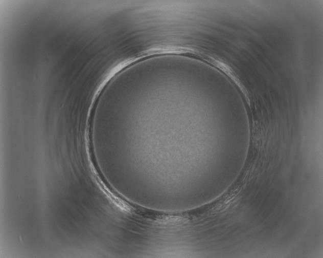 X0000058121187200509231044