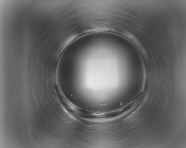 X0000058121193200509231044