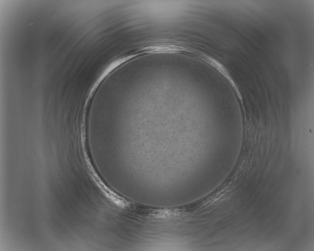 X0000058121195200509231044