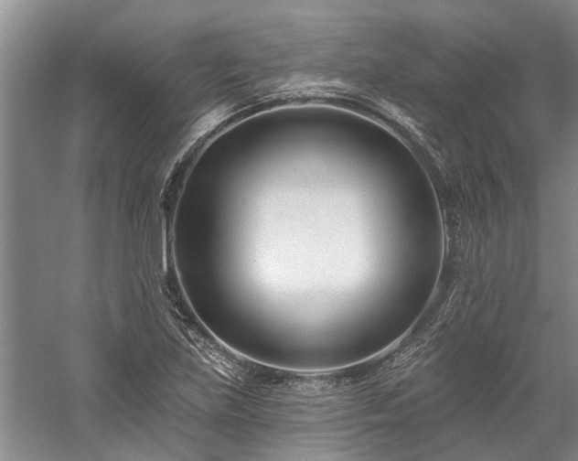 X0000058121219200509231043
