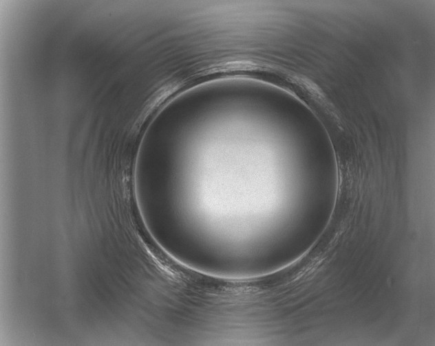 X0000058121225200509231043