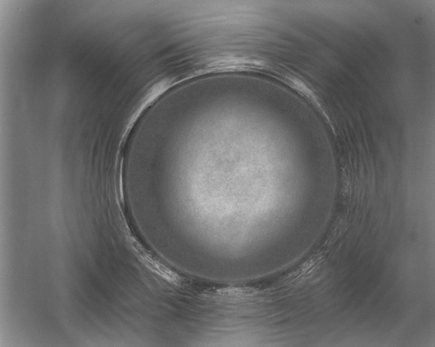 X0000058121227200509231043