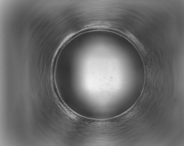 X0000058121240200509231044