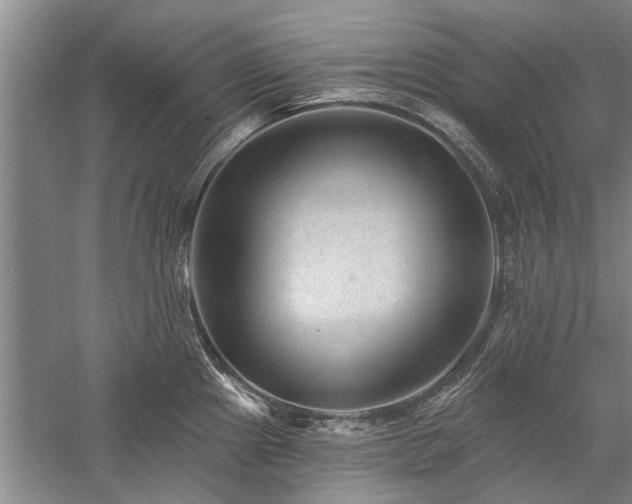 X0000058121241200509231044
